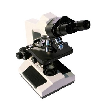 MICROSCOPES & ACCESSORIES